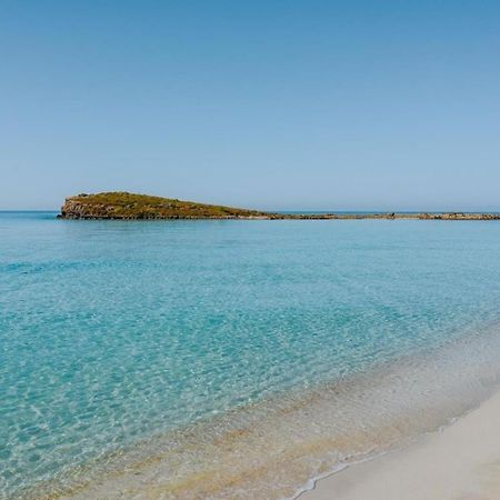איה נאפה Narcissos Nissi Beach Apartment C16 מראה חיצוני תמונה