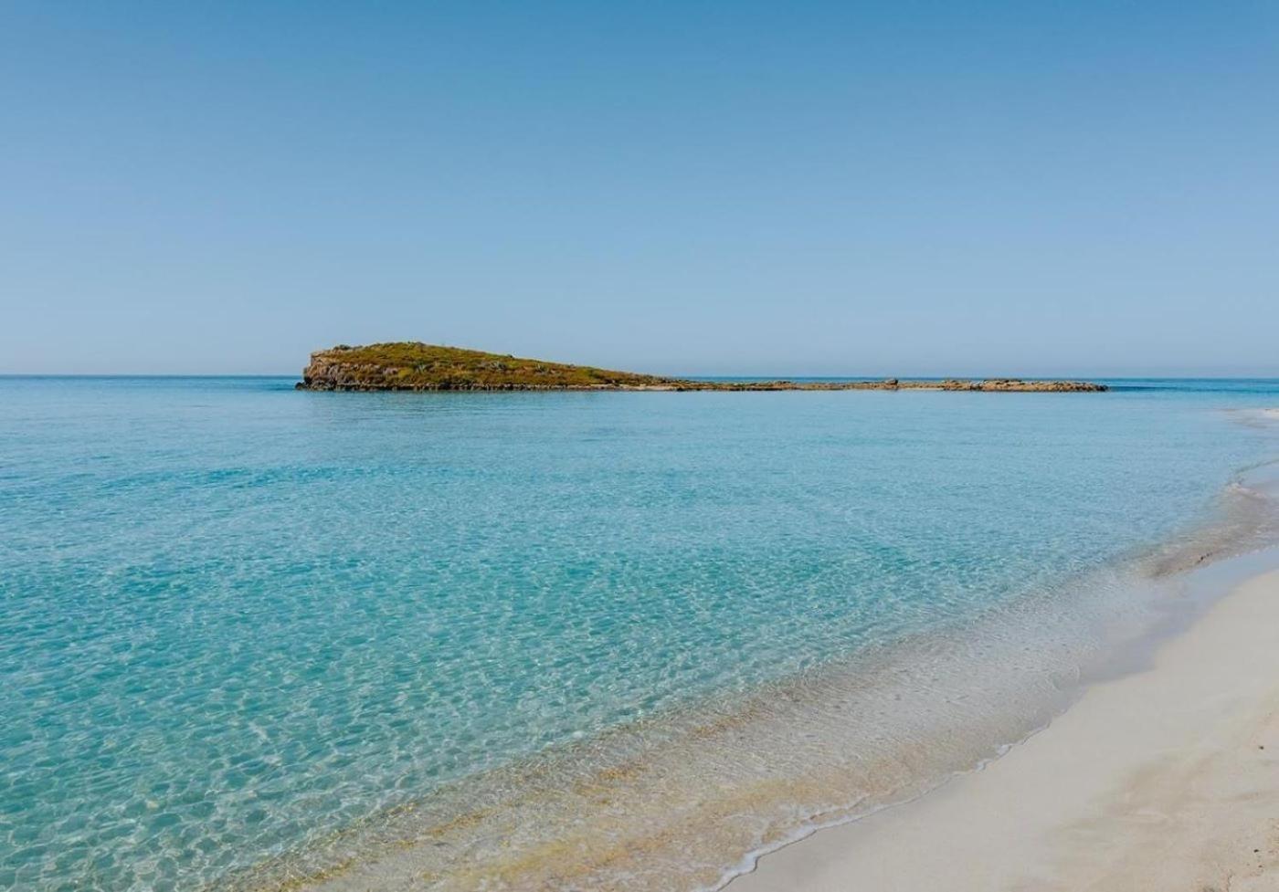 איה נאפה Narcissos Nissi Beach Apartment C16 מראה חיצוני תמונה
